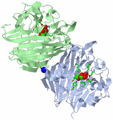 Image Asym./Biol. Unit - sites