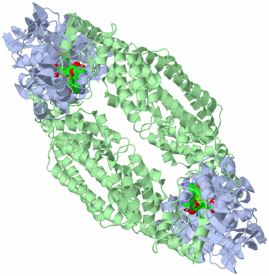 Image Biological Unit 2