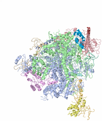 Image Asym./Biol. Unit