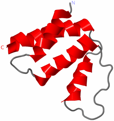 Image NMR Structure - model 1