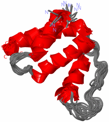 Image NMR Structure - all models