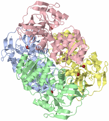 Image Biological Unit 1