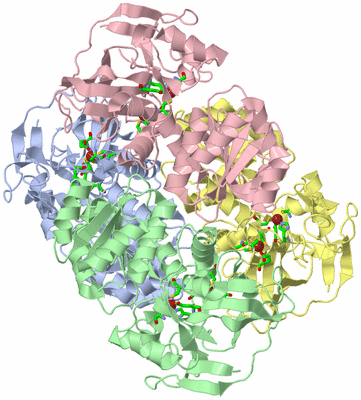 Image Biol. Unit 1 - sites