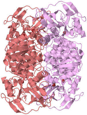 Image Biological Unit 2