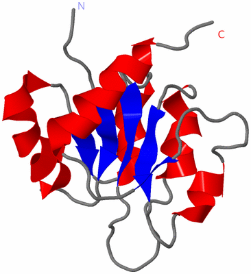 Image NMR Structure - model 1