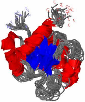 Image NMR Structure - all models