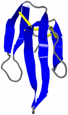 Image NMR Structure - model 1