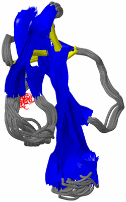 Image NMR Structure - all models