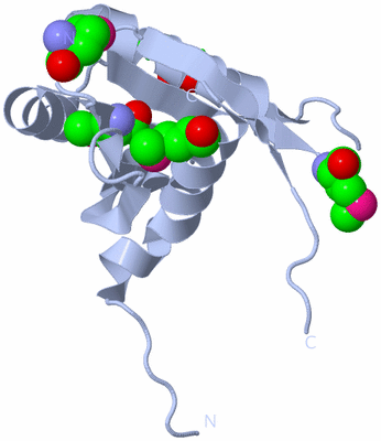 Image Biol. Unit 1 - sites