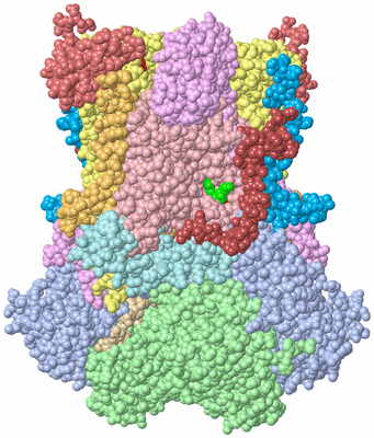 Image Biological Unit 1