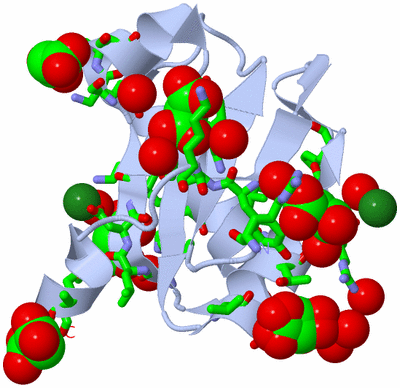 Image Biol. Unit 1 - sites