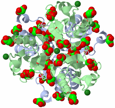 Image Biological Unit 3