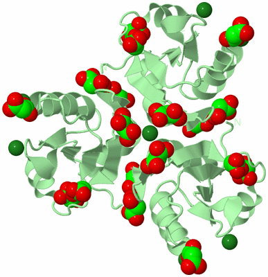 Image Biological Unit 4