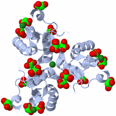 Image Biological Unit 5