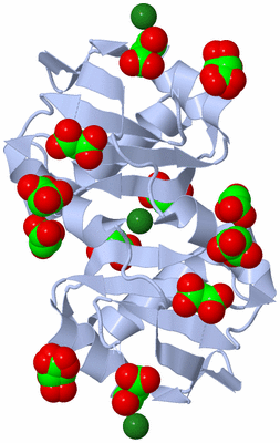 Image Biological Unit 6