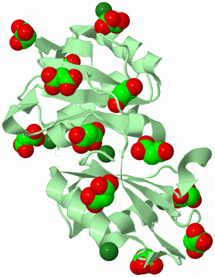 Image Biological Unit 7