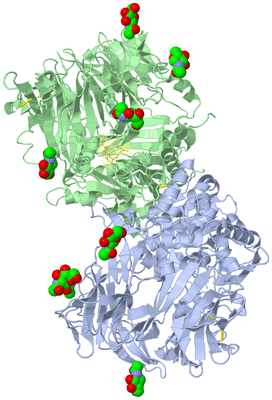 Image Asym./Biol. Unit