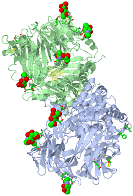 Image Asym./Biol. Unit - sites