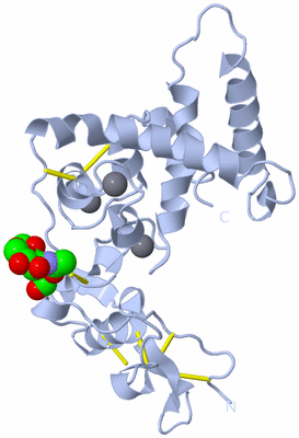 Image Biological Unit 1