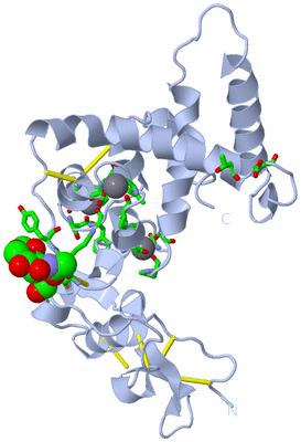 Image Biol. Unit 1 - sites