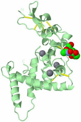 Image Biological Unit 2