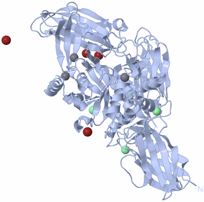 Image Biological Unit 1