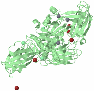 Image Biological Unit 2
