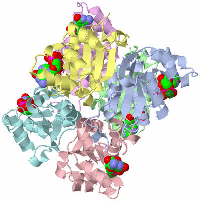 Image Asym./Biol. Unit