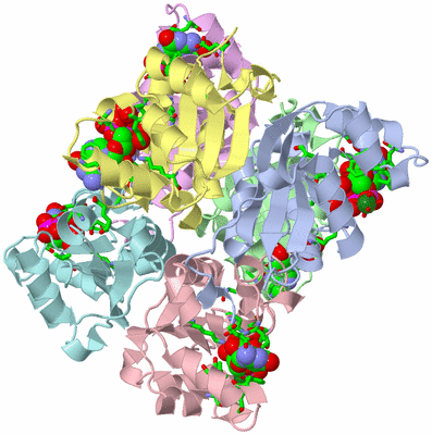 Image Asym./Biol. Unit - sites