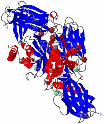 Image Asym./Biol. Unit