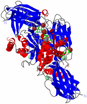 Image Asym./Biol. Unit - sites