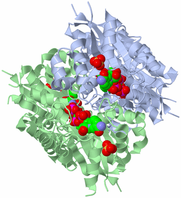 Image Biological Unit 1