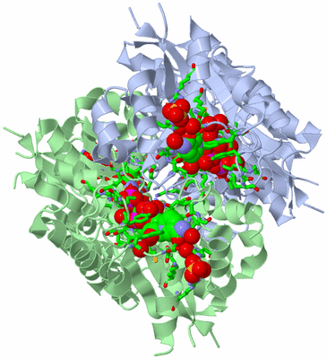 Image Biol. Unit 1 - sites