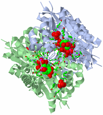 Image Biol. Unit 1 - sites