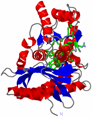 Image Asym. Unit - sites