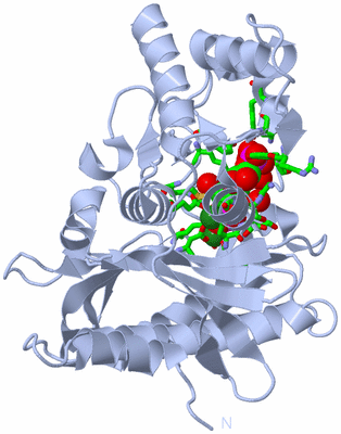 Image Biol. Unit 1 - sites