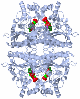 Image Biological Unit 2