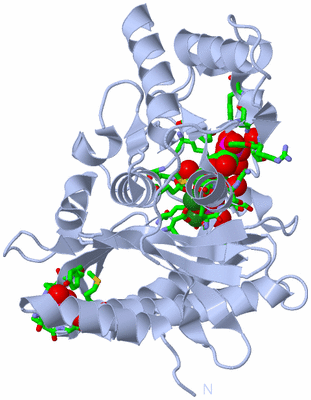 Image Biol. Unit 1 - sites