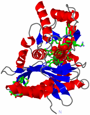 Image Asym. Unit - sites