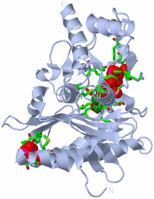 Image Biol. Unit 1 - sites