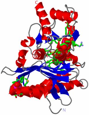 Image Asym. Unit - sites