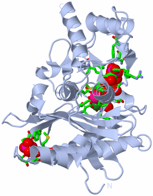 Image Biol. Unit 1 - sites