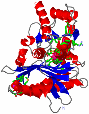 Image Asym. Unit - sites