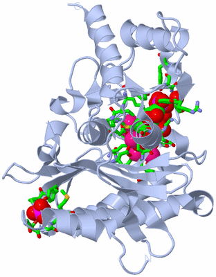 Image Biol. Unit 1 - sites