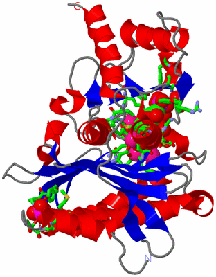 Image Asym. Unit - sites