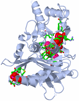 Image Biol. Unit 1 - sites