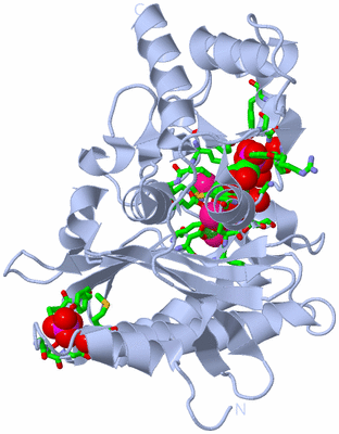 Image Biol. Unit 1 - sites