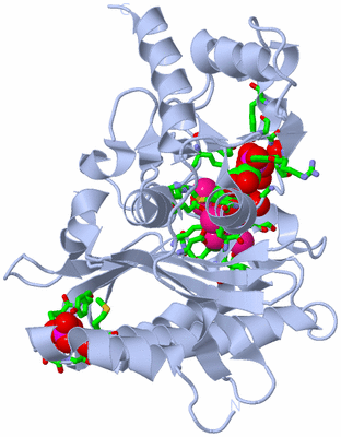 Image Biol. Unit 1 - sites