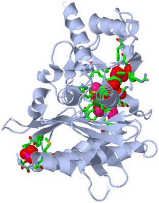 Image Biol. Unit 1 - sites