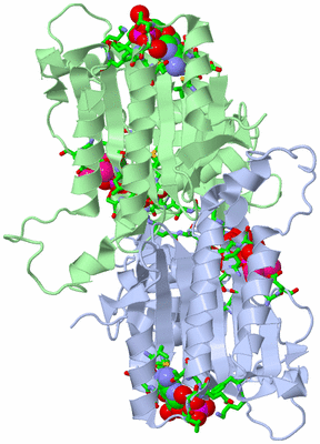 Image Biol. Unit 1 - sites